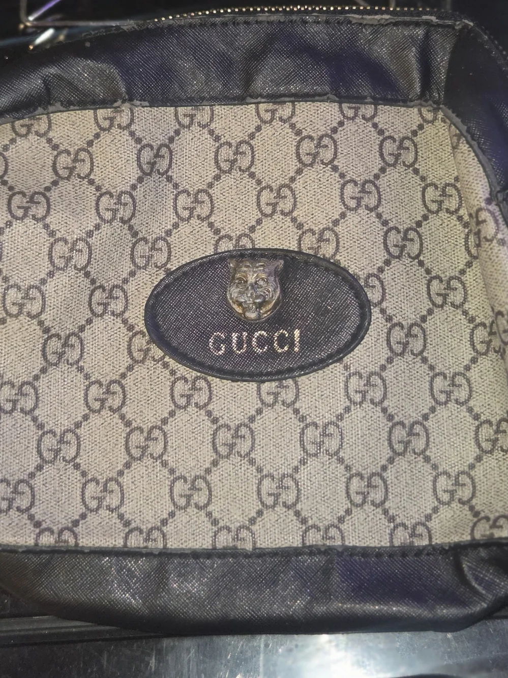 Gucci Cosmetic Canvas Bag
